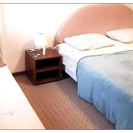 Dobricin Konak, Apartman 202 โคเปานิก ภายนอก รูปภาพ