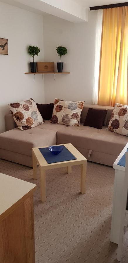 Dobricin Konak, Apartman 202 โคเปานิก ภายนอก รูปภาพ