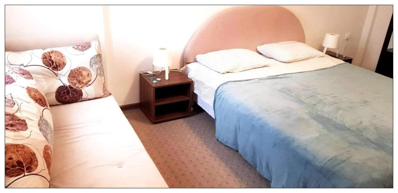 Dobricin Konak, Apartman 202 โคเปานิก ภายนอก รูปภาพ