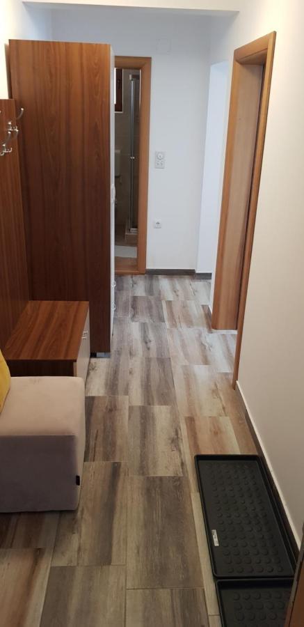 Dobricin Konak, Apartman 202 โคเปานิก ภายนอก รูปภาพ